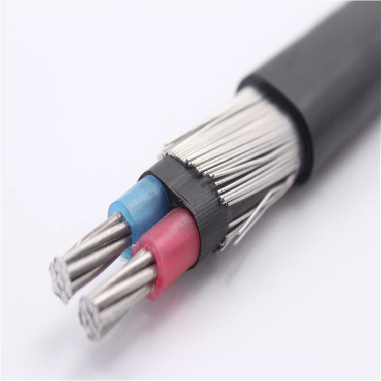 Aa 8000 Aluminum Alloy Conductor Xlpe/pvc Concentric Cable 2x6+6awg,2x4 ...