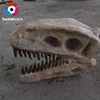 Prehistoric Fiberglass Animal head display in Science Museum,head&wall mounted dinosaur skeleton