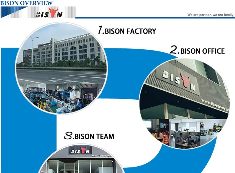 D bison overview 1.jpg