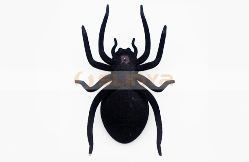 Solar spiders 8032 150108 (5).jpg