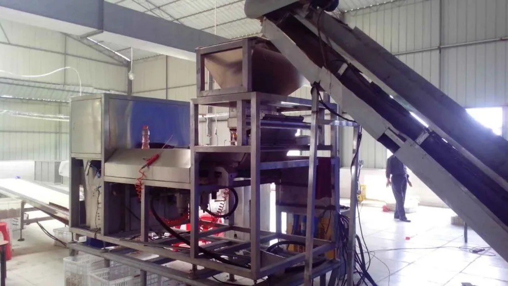 Angelon High Output High Accuracy Peeled Garlic Color Sorting Machine