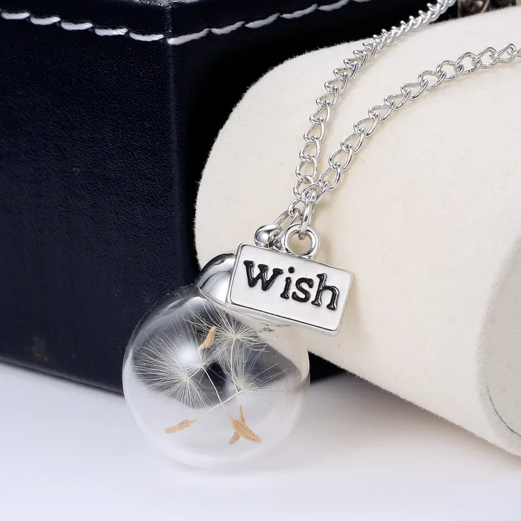

Creative Airy Wish Bottle Necklace Silver Chain Real Dandelion Seeds Pendant Necklace Women Jewelry