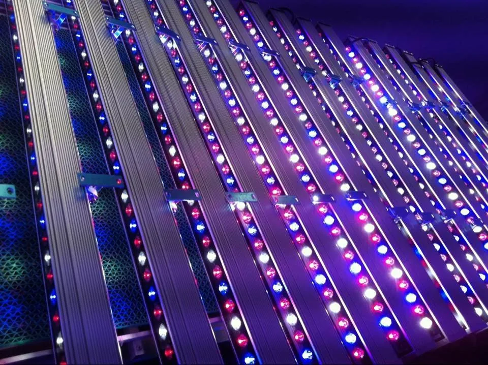 Waterproof Led Grow Light For Hydroponic Greenhouse Top Canopy