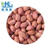China Small size peanut for Thailand butter manufacturer
