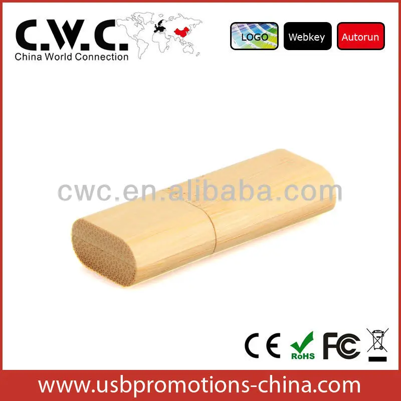 Professional 16gb Usb Flash Drive