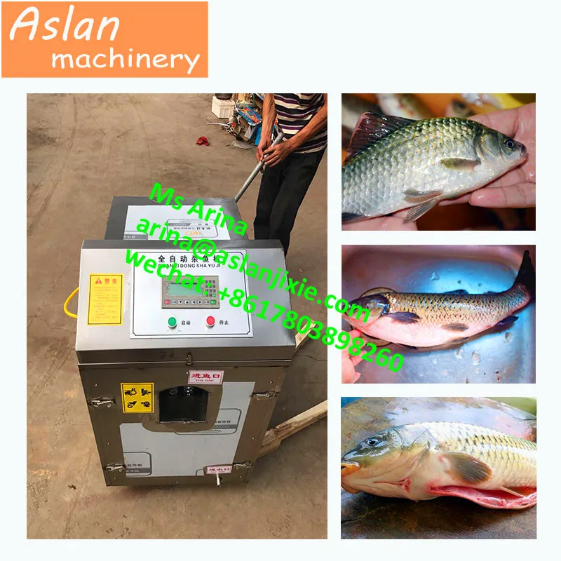 商業用魚キラー 草鯉スケーリングマシン 鯉殺し機 Buy Carp Killing Machine Grass Carp Scaling Machine Fish Killer Product On Alibaba Com