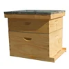 Chinese unassembled 8 frames wooden honey bee hives for sale