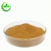 High quality organic yerba mate for organic yerba mate extract