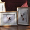 11 x 14" Western Style Poly moulding Decorative Picture Photo Frame