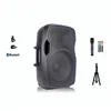 12 inch speaker with wired mic