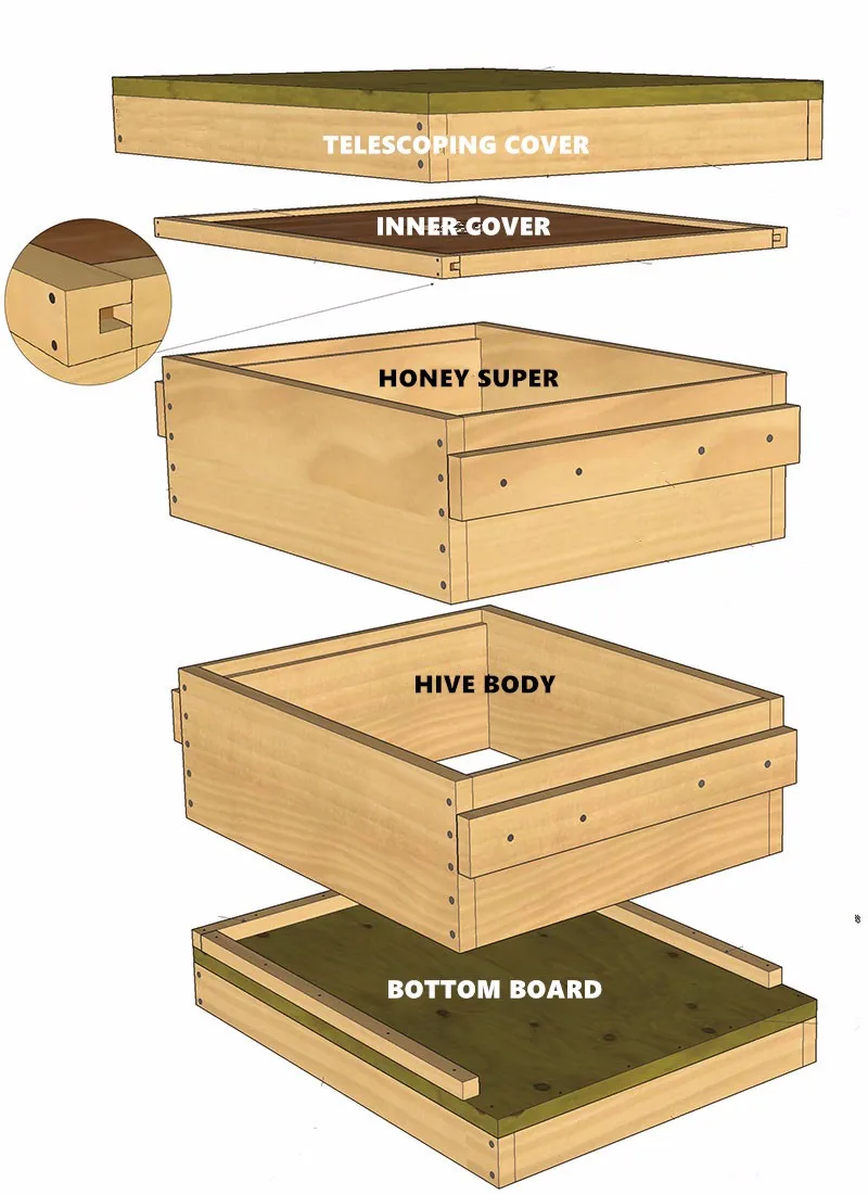 2017 Henan Langstroth Bee Hive Box Factory Directly Supply Fir Pine ...