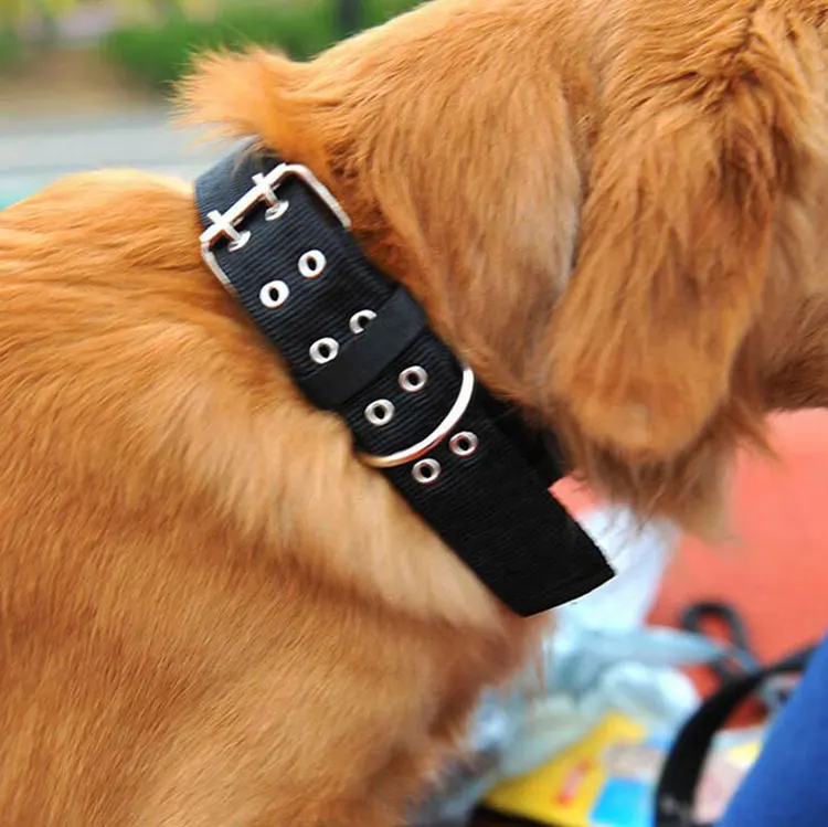Pet Supplies Customize 1.6 Inch 2 Inch Nylon Large Dog Collar Buy