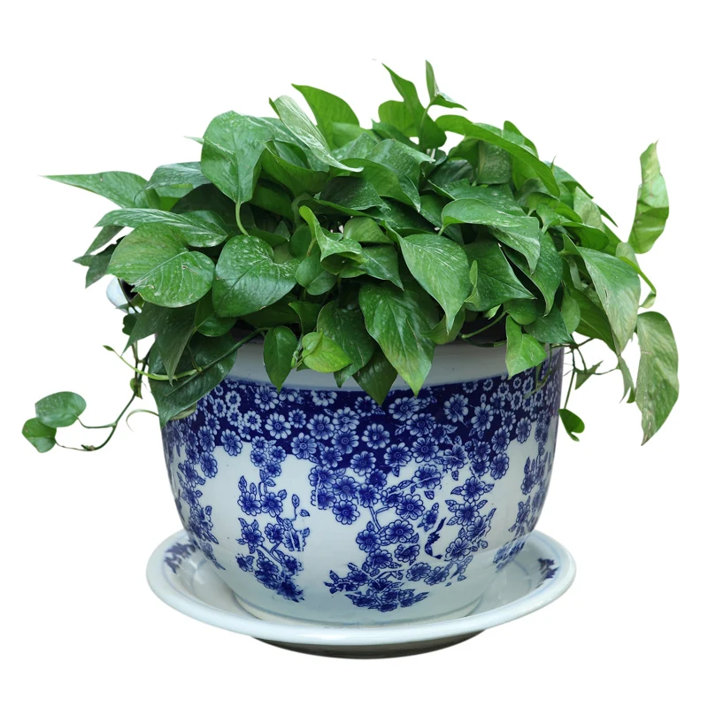Wholesale Chinese Cheap Porcelain Ceramic Flower Pots For Garden