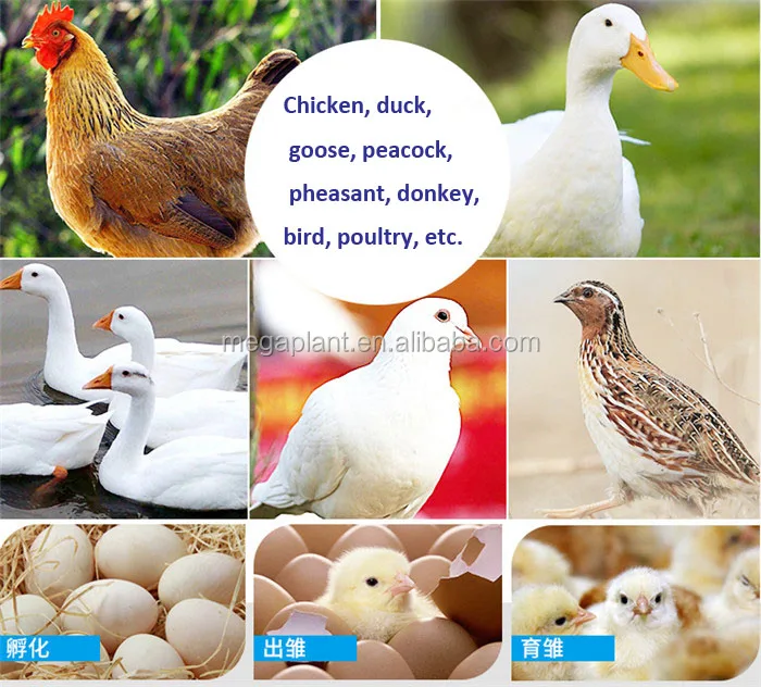 Automatic Egg Incubator Chicken Incubators Poultry Hatcher Incubators