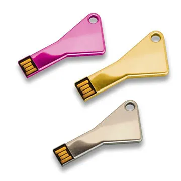 

Key Triangle Shape USB KEY Flash Drive 8GB 16GB 32GB 64GB 128gb