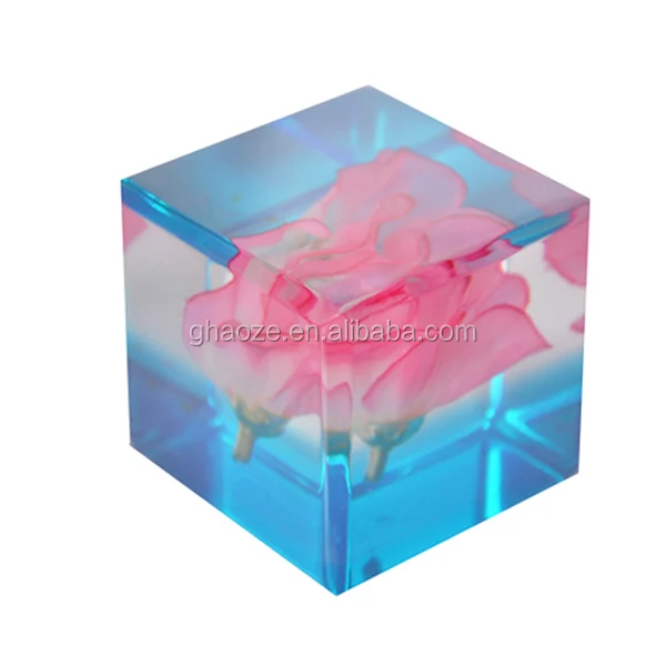 Custom Different Shape Acrylic Embedment Liquid Stomach Acrylic Paper