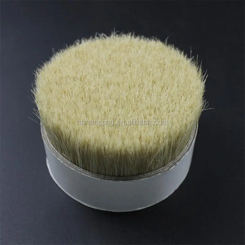 bleached boiled bristle 4.jpg