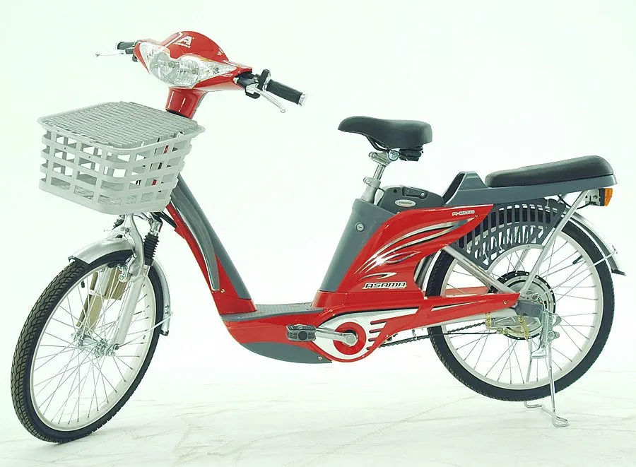 eco electric bike