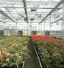 Long Life Service Open Roof Greenhouse For Pakistan