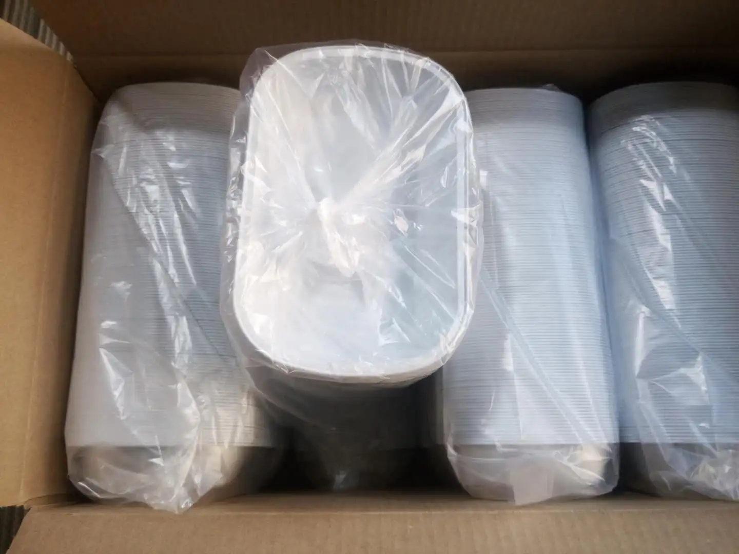 airline food container with lids