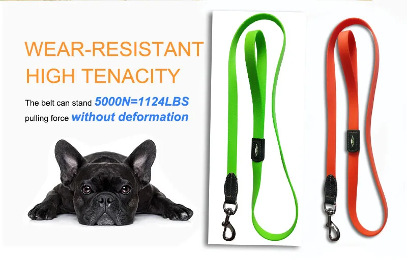 long dog leash for medium dogs