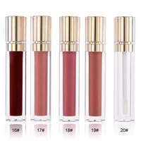 

Private Label Cosmetic Custom Sheer Color Moisture Clear Lipgloss make your logo lipgloss set