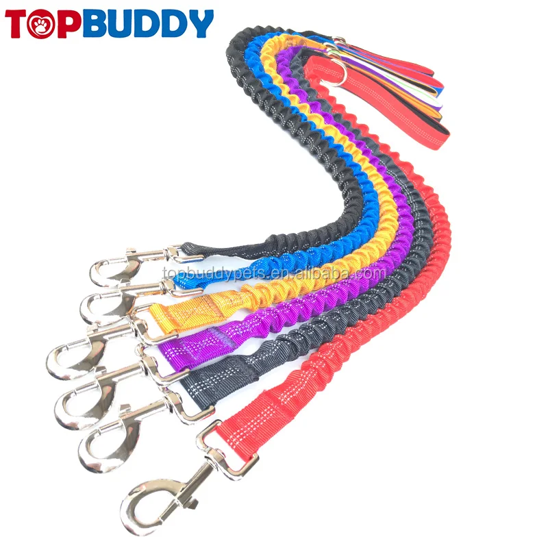 retractable leash.jpg