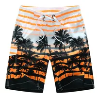 

Men's Quick Dry Board Shorts Printed Palm Beach Swim Wear Shorts