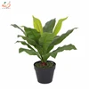 New design potted table plants artificial fern plants/artificial bonsai