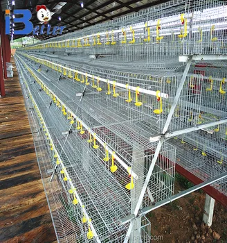 2017 Durable Strong Layer Chicken Coop Design Buy Layer Chicken Coop Designlayer Chicken Cagechicken Cage For Sale Product On Alibabacom