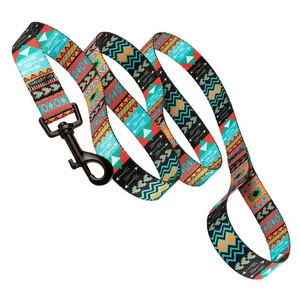 Image of Nylon Pet Dog Collar Lead Leashes Training Running Custom Sublimation Printed Logo Carabiner Wholesale
