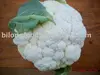 fresh cauliflower