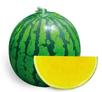 hybrid f1 green peel yellow flesh seedless watermelon seeds for