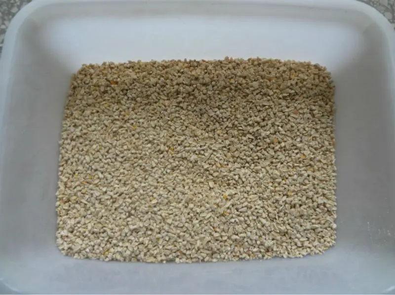 Extracting Corn Germ Line.jpg