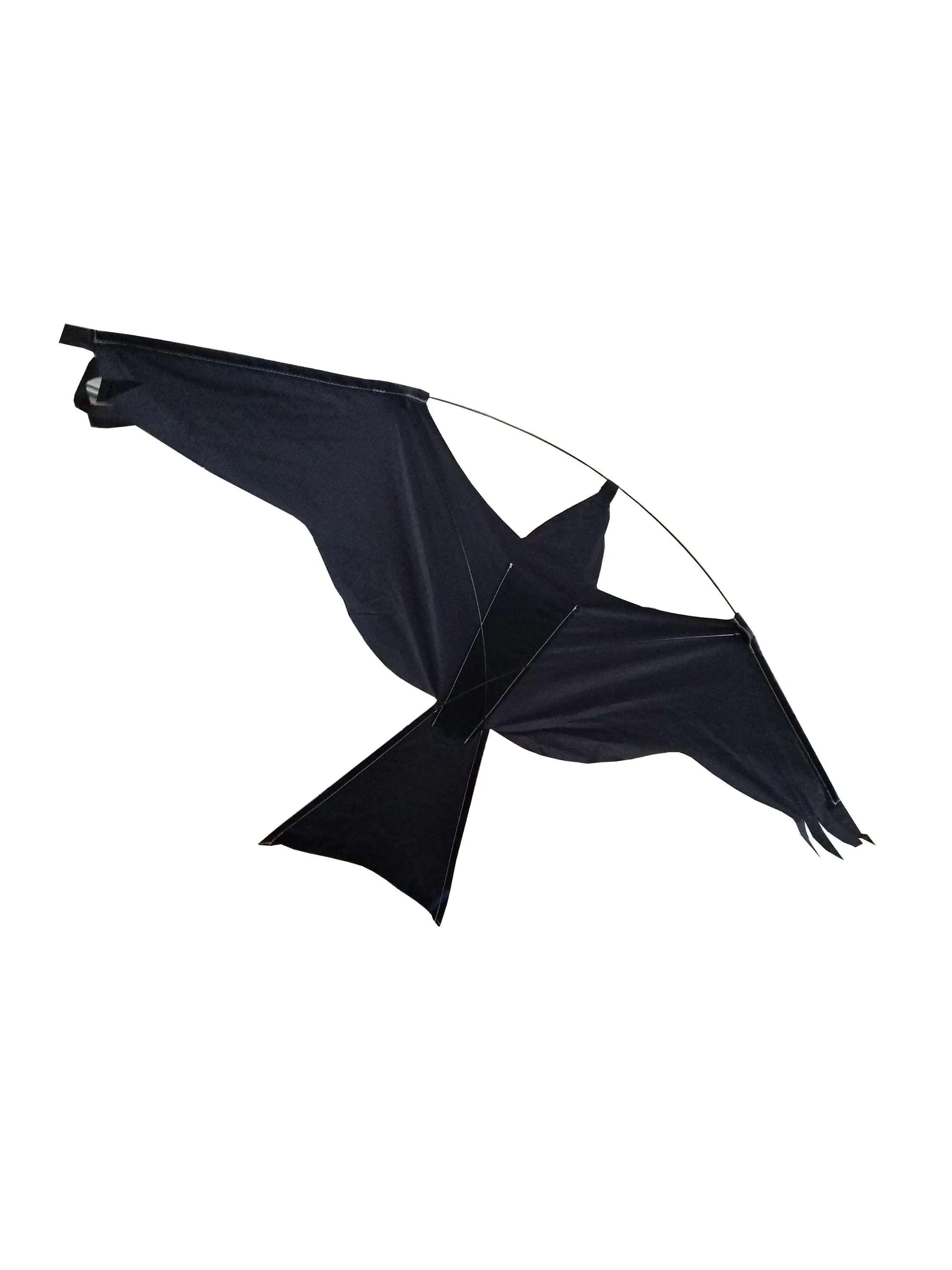 a bird kite