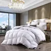 Beautiful fancy winter bed duvet insert with low price