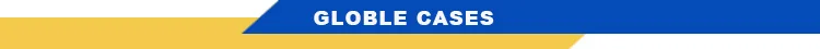 globle case