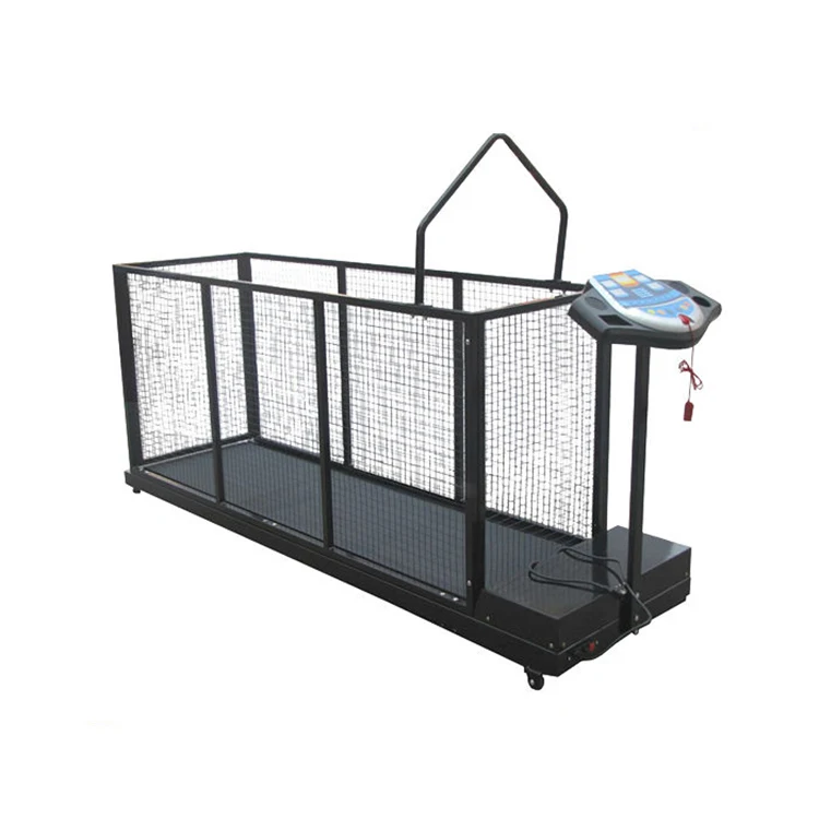 New Products Quality Assurance Reasonably Priced Sheep Treadmill Buy