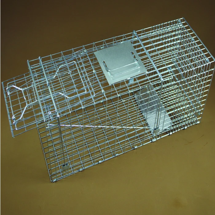 China Supplier 2019 Hot Sale Humane Marten Cage Trap Collapsible Animal Trap Cage Buy Marten