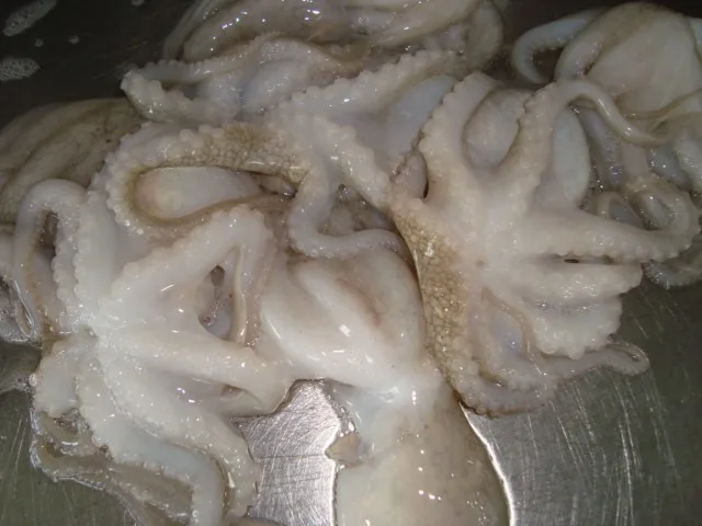
FROZEN WHOLE CLEAN BABY OCTOPUS FROM VIET NAM 