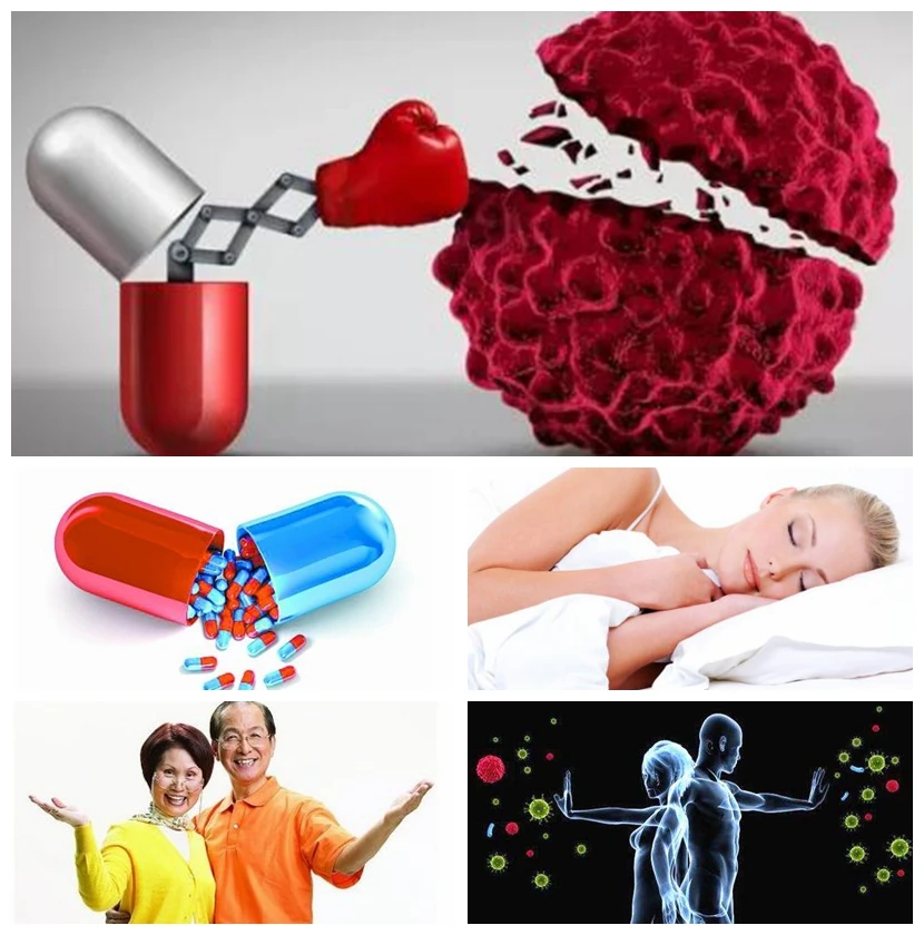 Rosemary Extract Ursolic Acid Dosage In Food Water Solubility Of