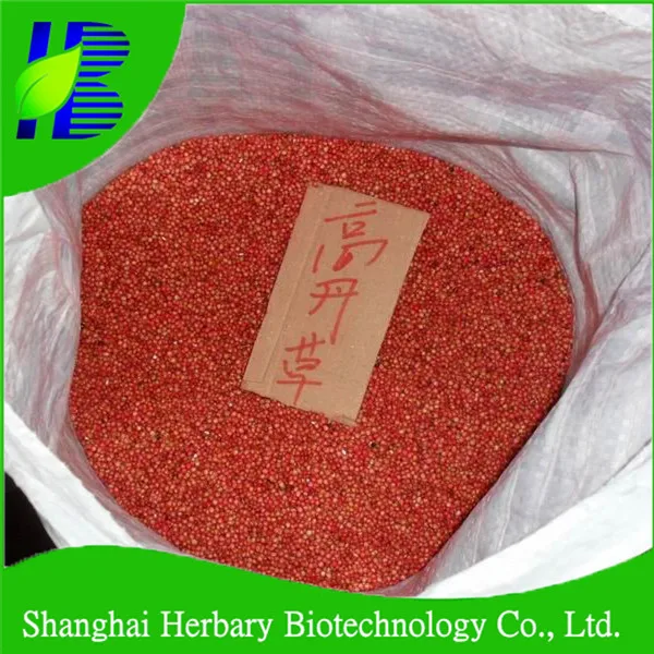 
2020 New Gaodan Grass Seeds, Sudan Grass Seeds For Animal Feed 