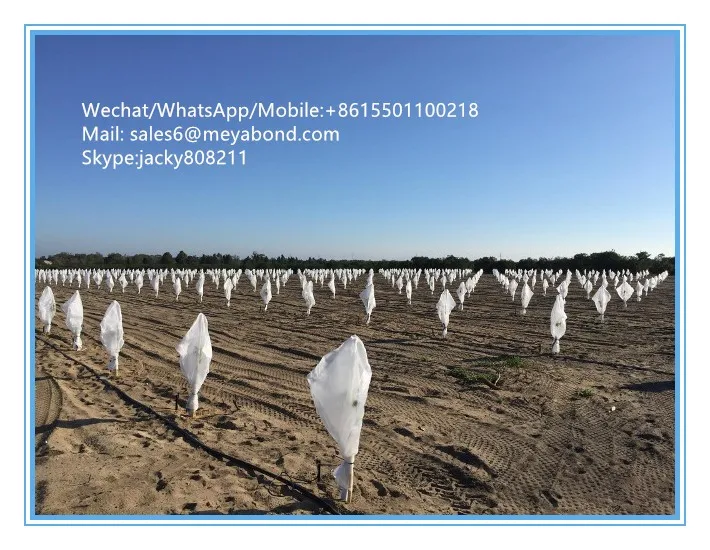 Anti Insect Netting /nursery Fruit Tree Net/citrus Tree Net Cover Buy