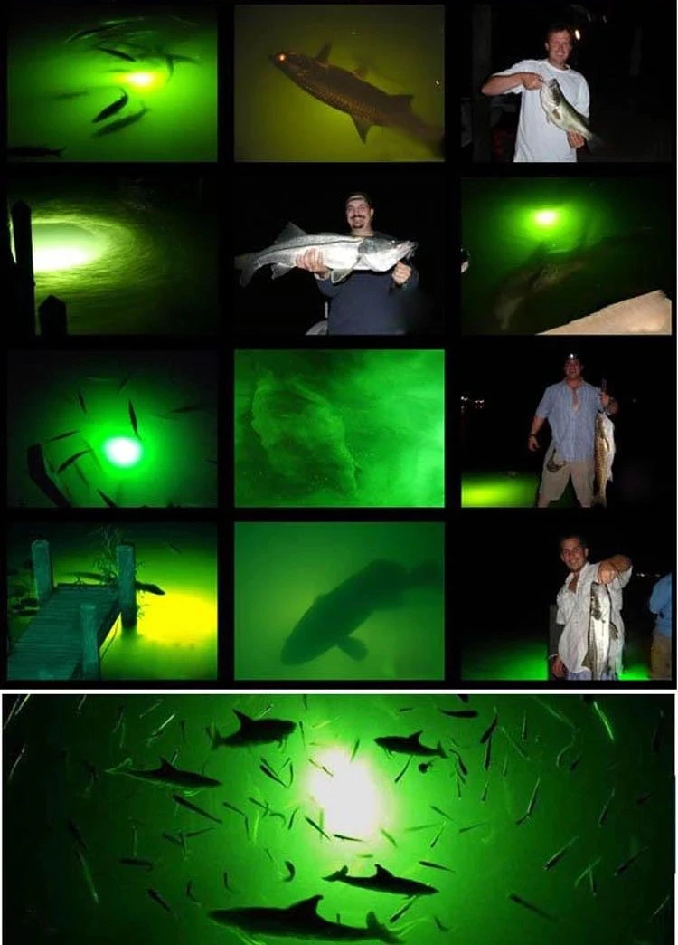 fishing light (2).jpg