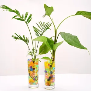 Wholesale  Magic gel crystal soil water beads for kids plants vase filler