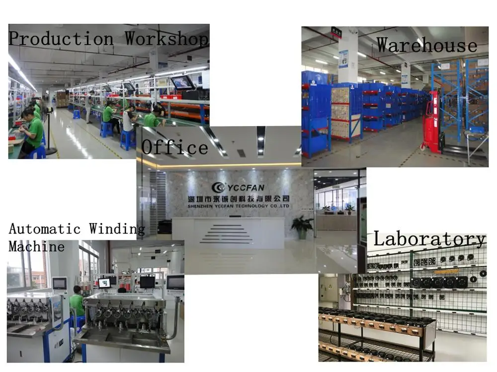 Company information.jpg