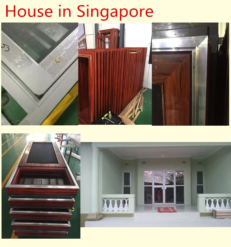 House in Singapore.jpg