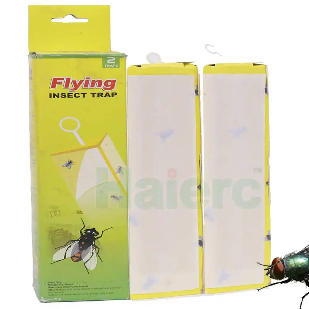 fly trap paper