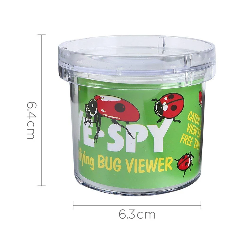 Box bug