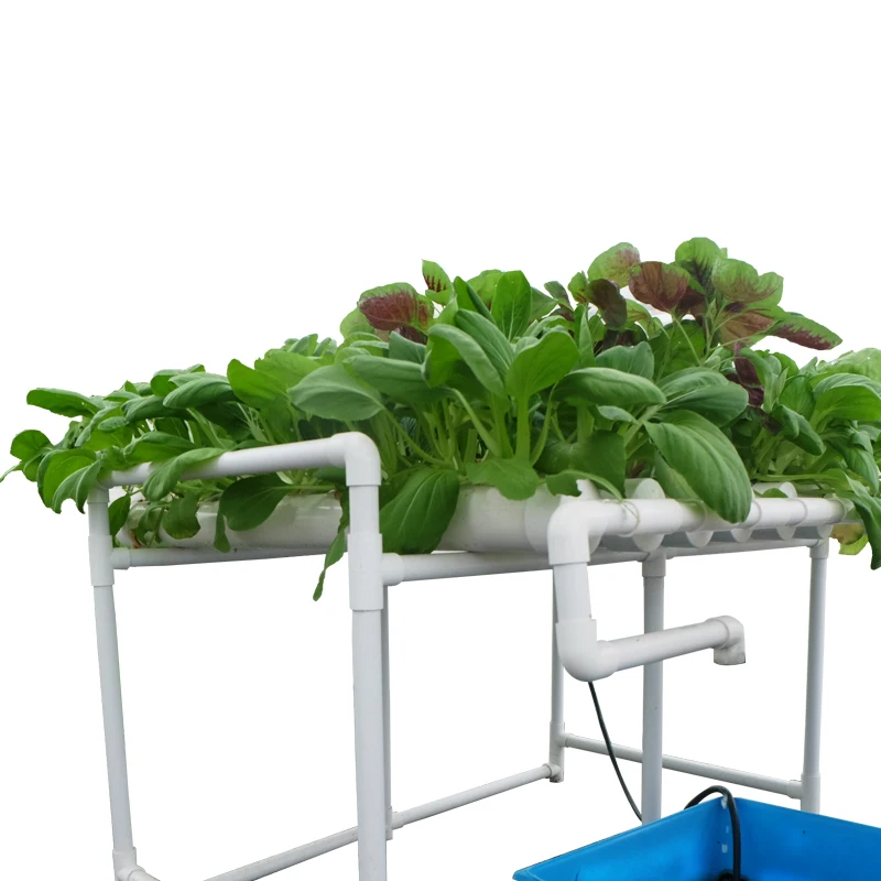 flat hydroponics  kit3